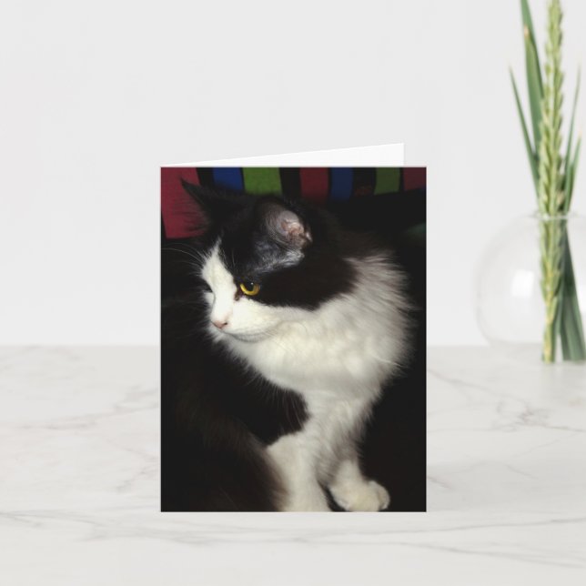 Beautiful Kitty note card (Front)