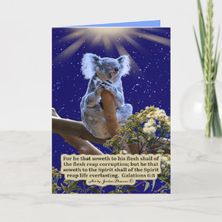 Beautiful Koala Scripture Galatians 6:8 Card