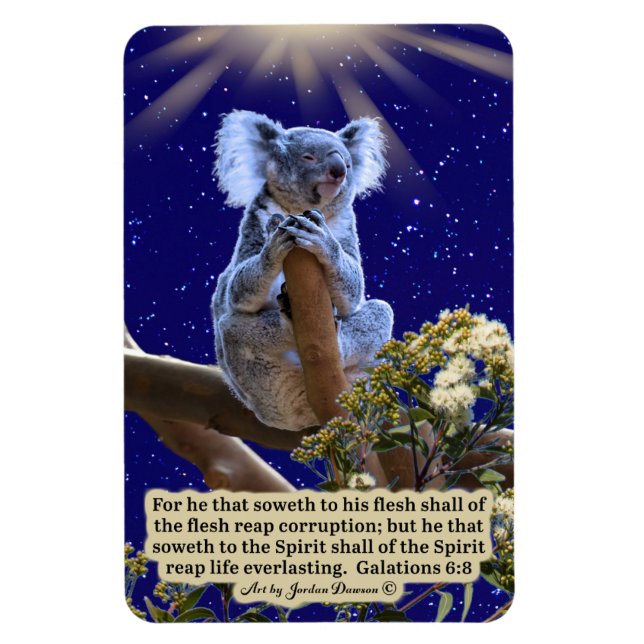 Beautiful Koala Scripture Magnet Galatians 6:8 (Vertical)