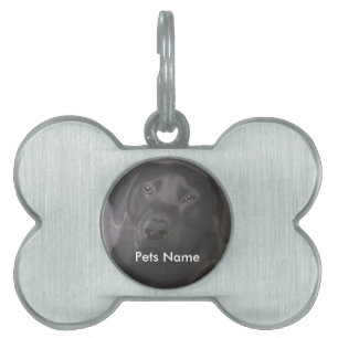 Beautiful Labrador Retriever Pet Tag
