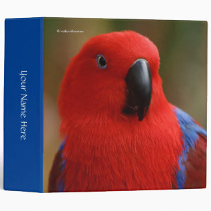 Beautiful "Lady in Red" Eclectus Parrot Binder