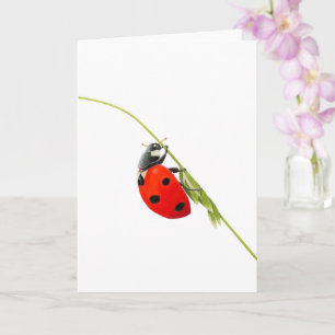 Beautiful Ladybug Drawing Folded Greeting Card