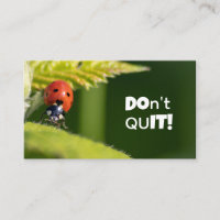 Beautiful ladybug with motivational quote