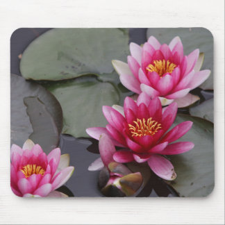 Beautiful lake flowers on mause pad mouse pad