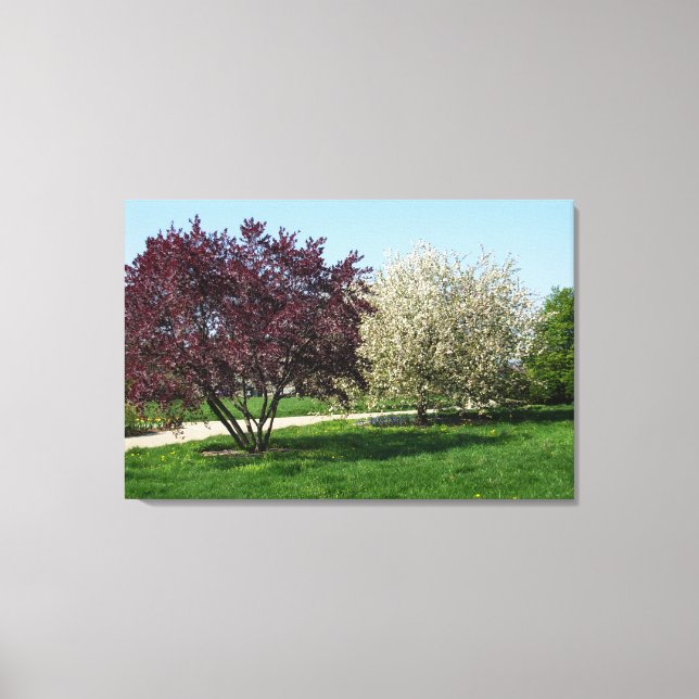 Beautiful Landscape and Trees Canvas Print (Front)