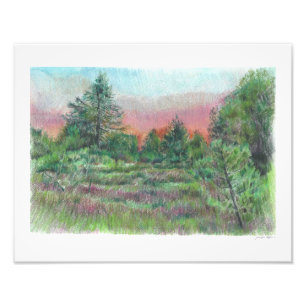 Beautiful Landscape Art Trees Pink Sky Night Photo Print