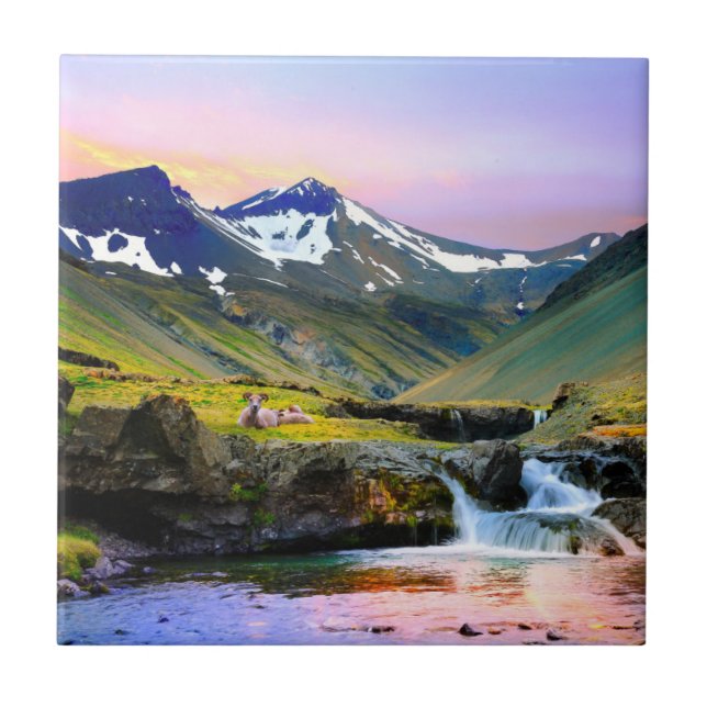 Beautiful Landscape Scenery of Iceland Tile (Front)