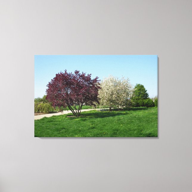 Beautiful Landscape with Trees Canvas Print (Front)