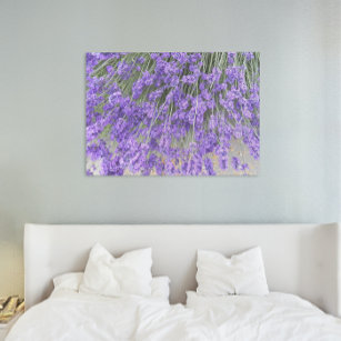 Beautiful Lavender Blooms Floral Canvas Print