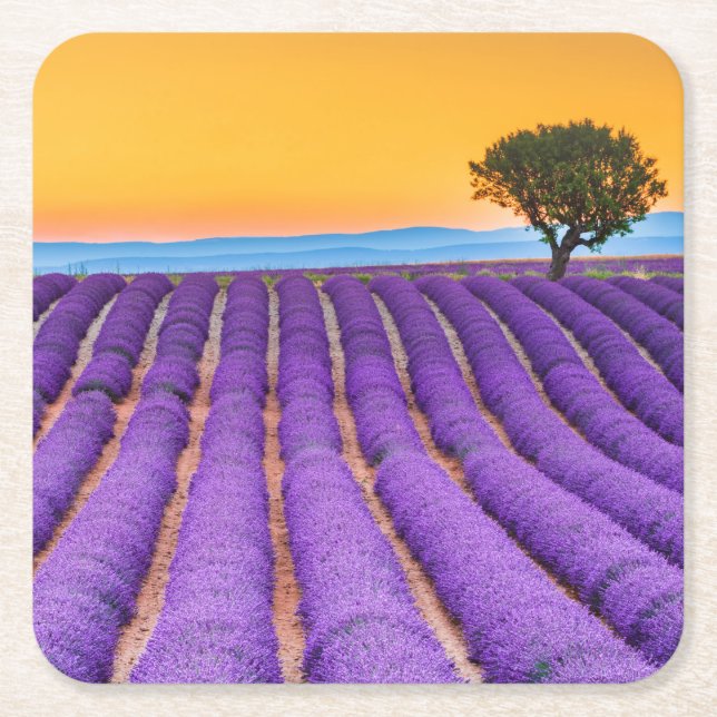 Beautiful lavender field in Provence Square Paper Coaster (Front)