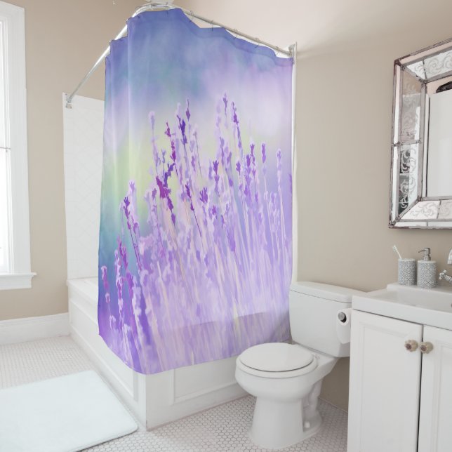 Beautiful Lavender Flower Field or meadow  Purple (In Situ)