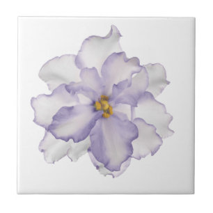 Beautiful Lavender Orchid on White Tile