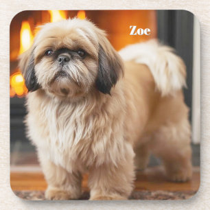 Beautiful Lhasa Apso Personalized Coaster Set