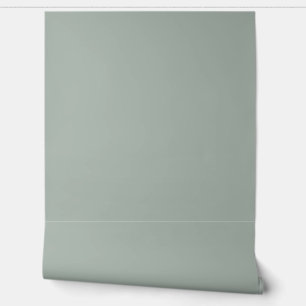 beautiful light green solid color /pattern wallpaper