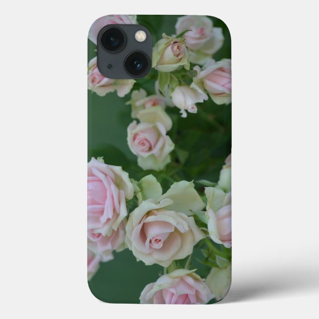 Beautiful light pink garden roses   Case-Mate iPhone case (Back)