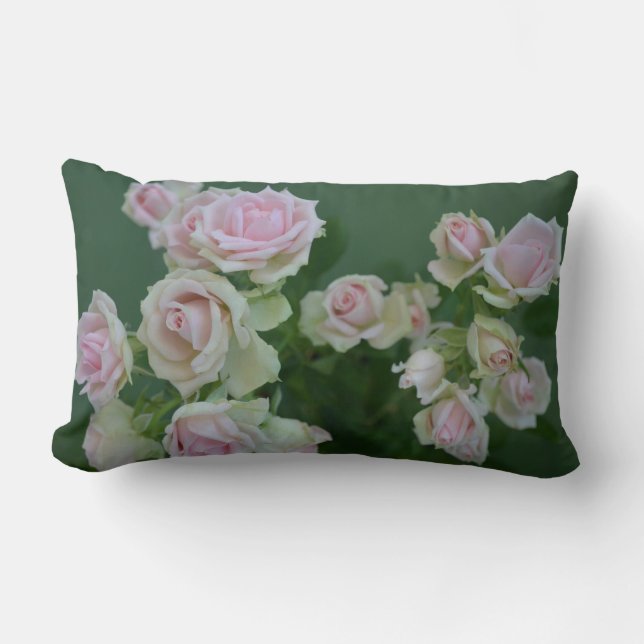 Beautiful light pink garden roses   lumbar pillow (Front)