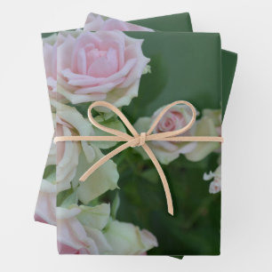 Beautiful light pink garden roses    wrapping paper sheet