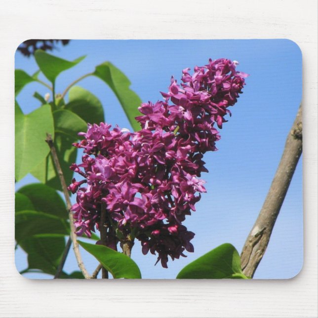 Beautiful Lilac Bloom Mouse Pad (Front)