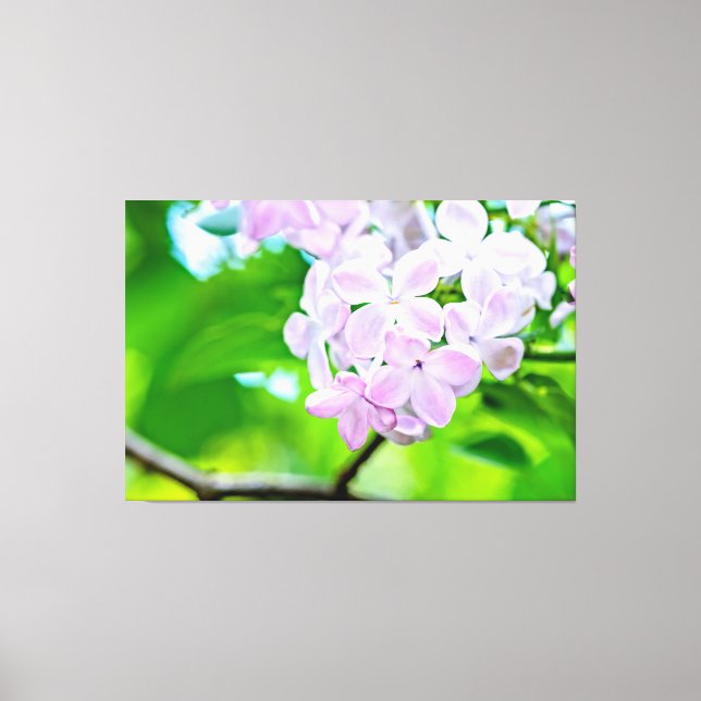 Beautiful Lilac Flowers Canvas Print (Front)