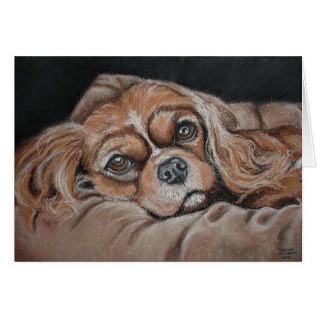 Beautiful Lilly (Front Horizontal)