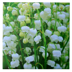 Beautiful Lily of the Valley Spring Flowers Tile
