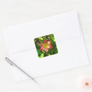 Beautiful Lily Square Sticker