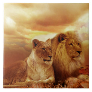Beautiful lion couple tile