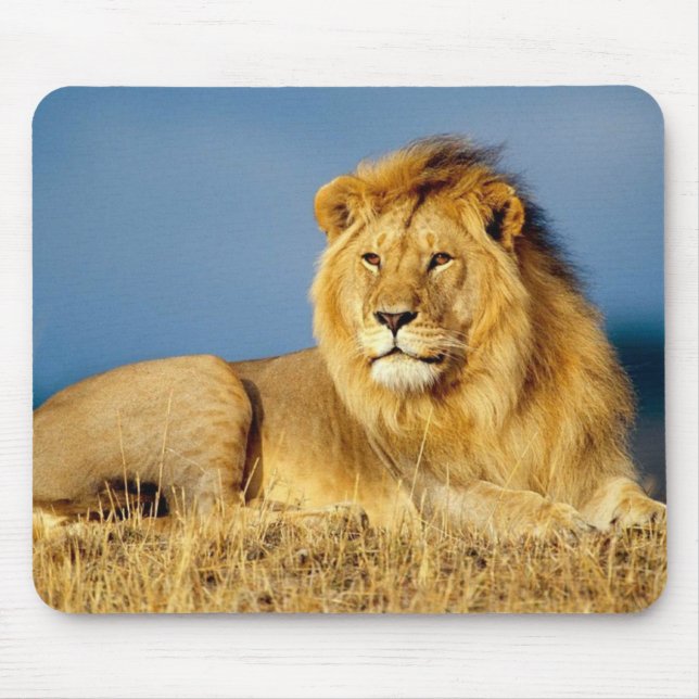 Beautiful Lion Mouse Mat (Front)