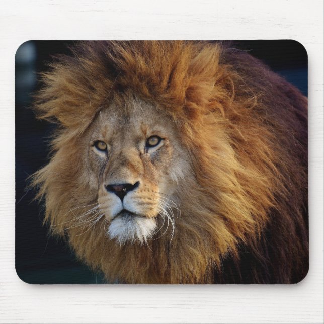 Beautiful Lion Mouse Mat (Front)