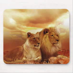Beautiful Lions Resting Mouse Pad