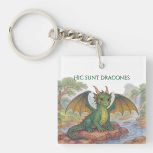 Beautiful little green dragon keychain