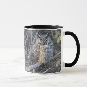 Beautiful Long-Eared Owl at Sunset Mug