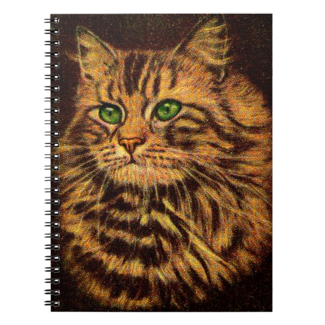 beautiful long-haired tabby cat notebook (Front)