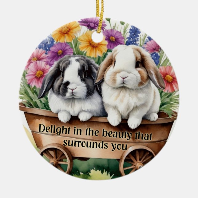 Beautiful Lop Bunny Rabbit Pretty Decoration (Front)
