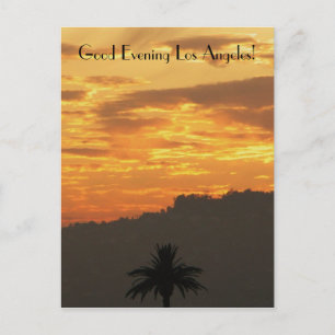 Beautiful Los Angeles Postcard! Postcard