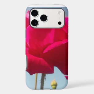 Beautiful Lovely Celestial Rose Red Against Blue