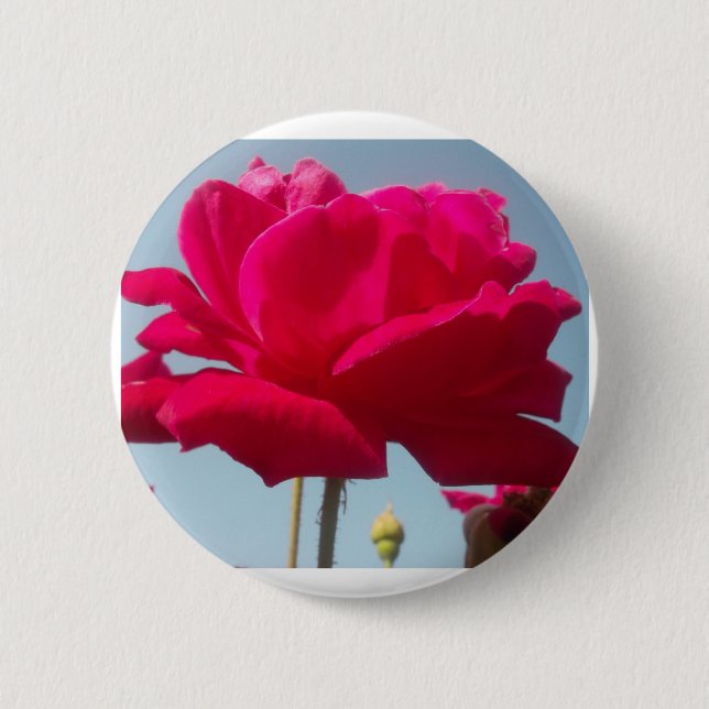 Beautiful Lovely Celestial Rose Red Against Blue  2 Inch Round Button (Front)