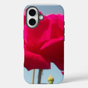 Beautiful Lovely Celestial Rose Red Against Blue  iPhone 16 Case