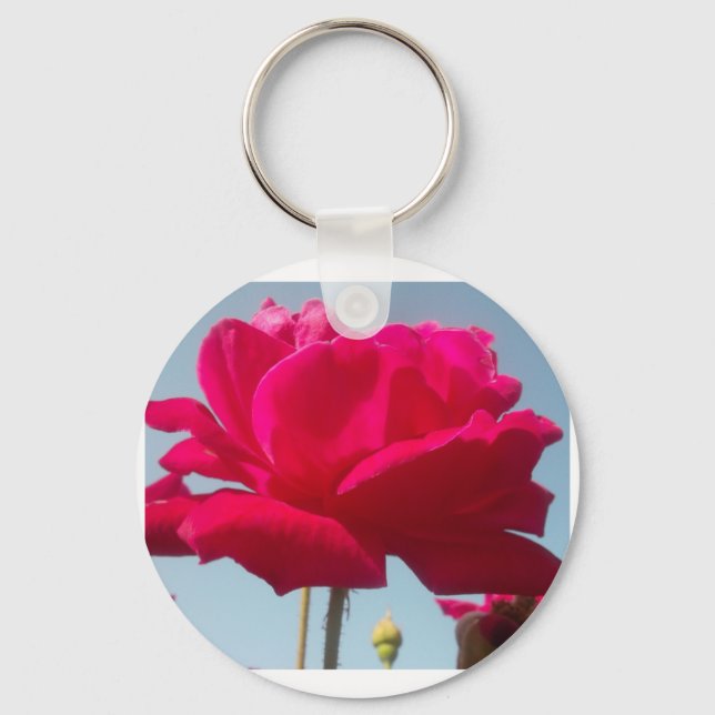 Beautiful Lovely Celestial Rose Red Against Blue  Keychain (Front)