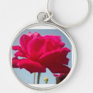 Beautiful Lovely Celestial Rose Red Against Blue  Keychain