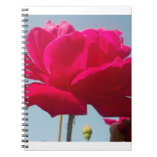 Beautiful Lovely Celestial Rose Red Against Blue  Notebook