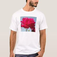 Beautiful Lovely Celestial Rose: Red Against Blue