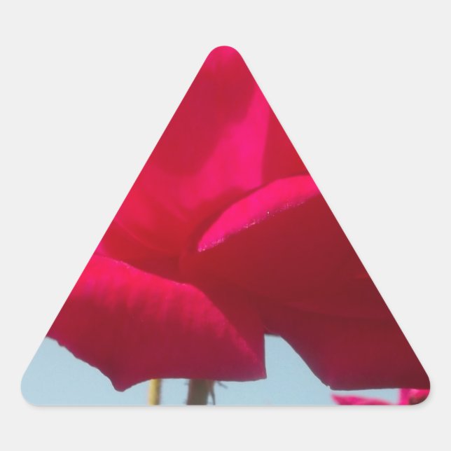 Beautiful Lovely Celestial Rose Red Against Blue  Triangle Sticker (Front)