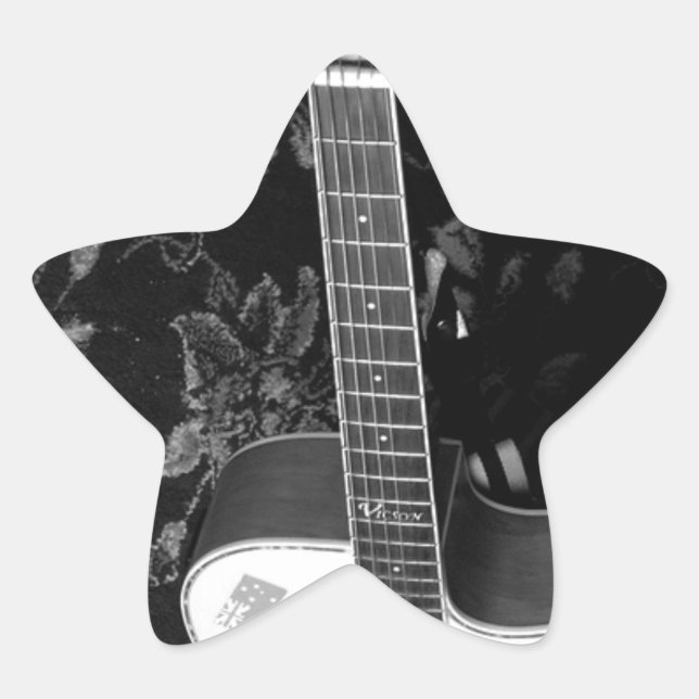 Beautiful Lovely Guitar African Grayscale Motif  Star Sticker (Front)