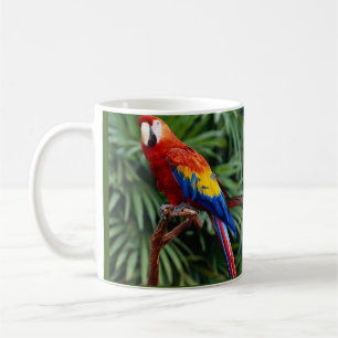 Beautiful Macaw Coffee Mug