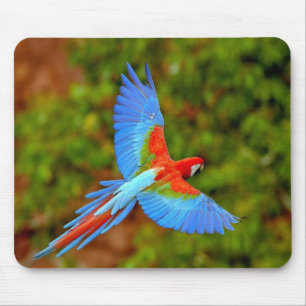 Beautiful Macaw Mouse Mat