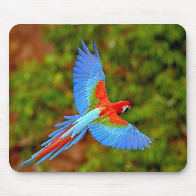 Beautiful Macaw Mouse Mat (Front)