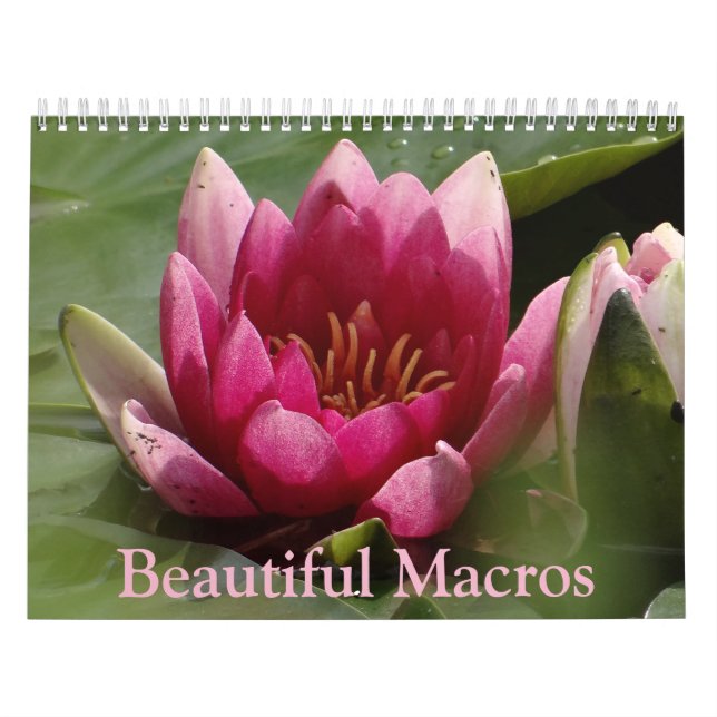 Beautiful Macros Calendar (Cover)