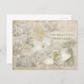 Beautiful Magnolia Vintage Collage  Postcard