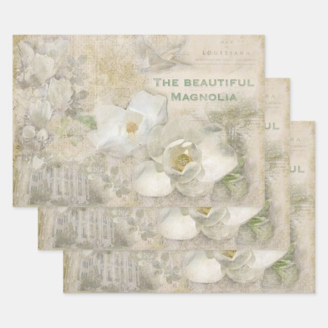 Beautiful Magnolia Vintage Collage Wrapping Paper Sheet (Set)
